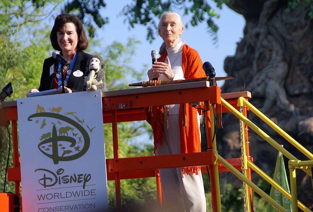 Disney's Animal Kingdom - Dr Jane Goodall at Animal Kingdom's 10th Anniversary.