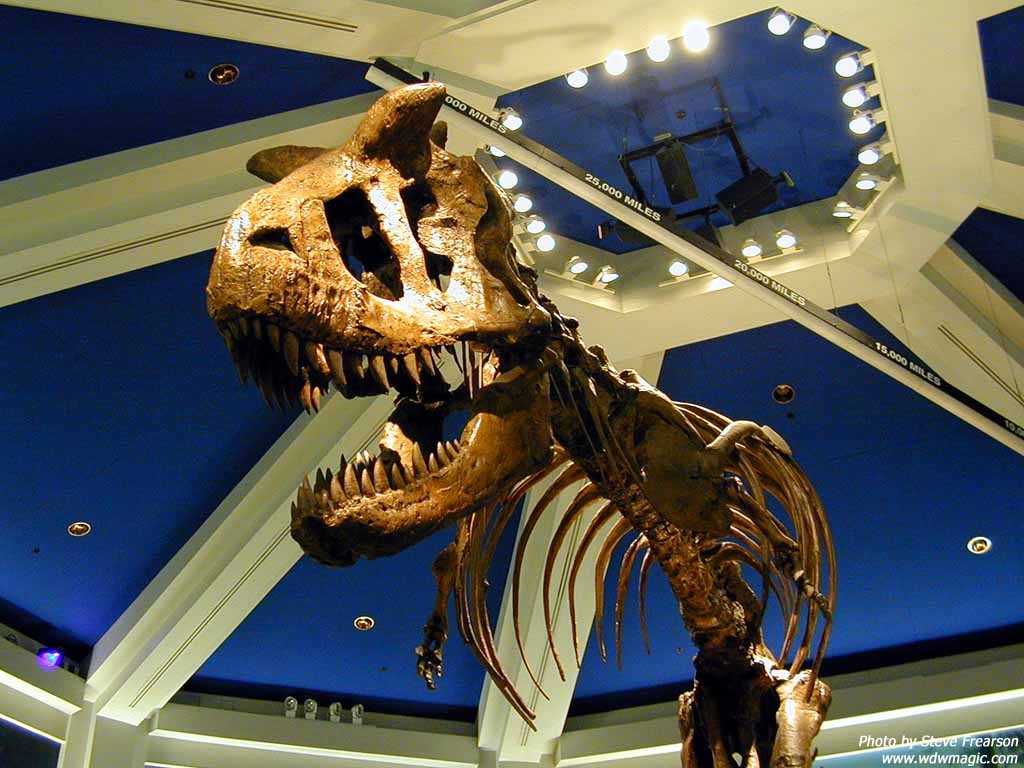 Countdown to Extinction