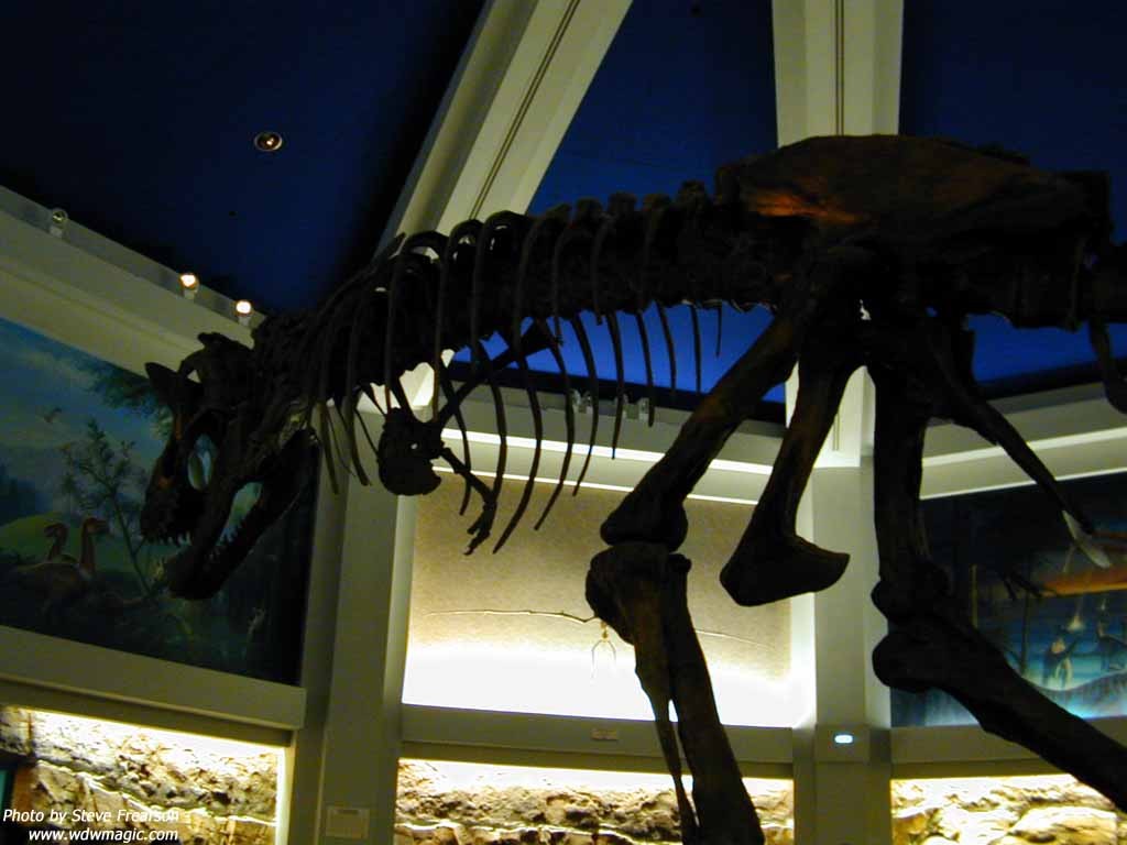 Countdown to Extinction