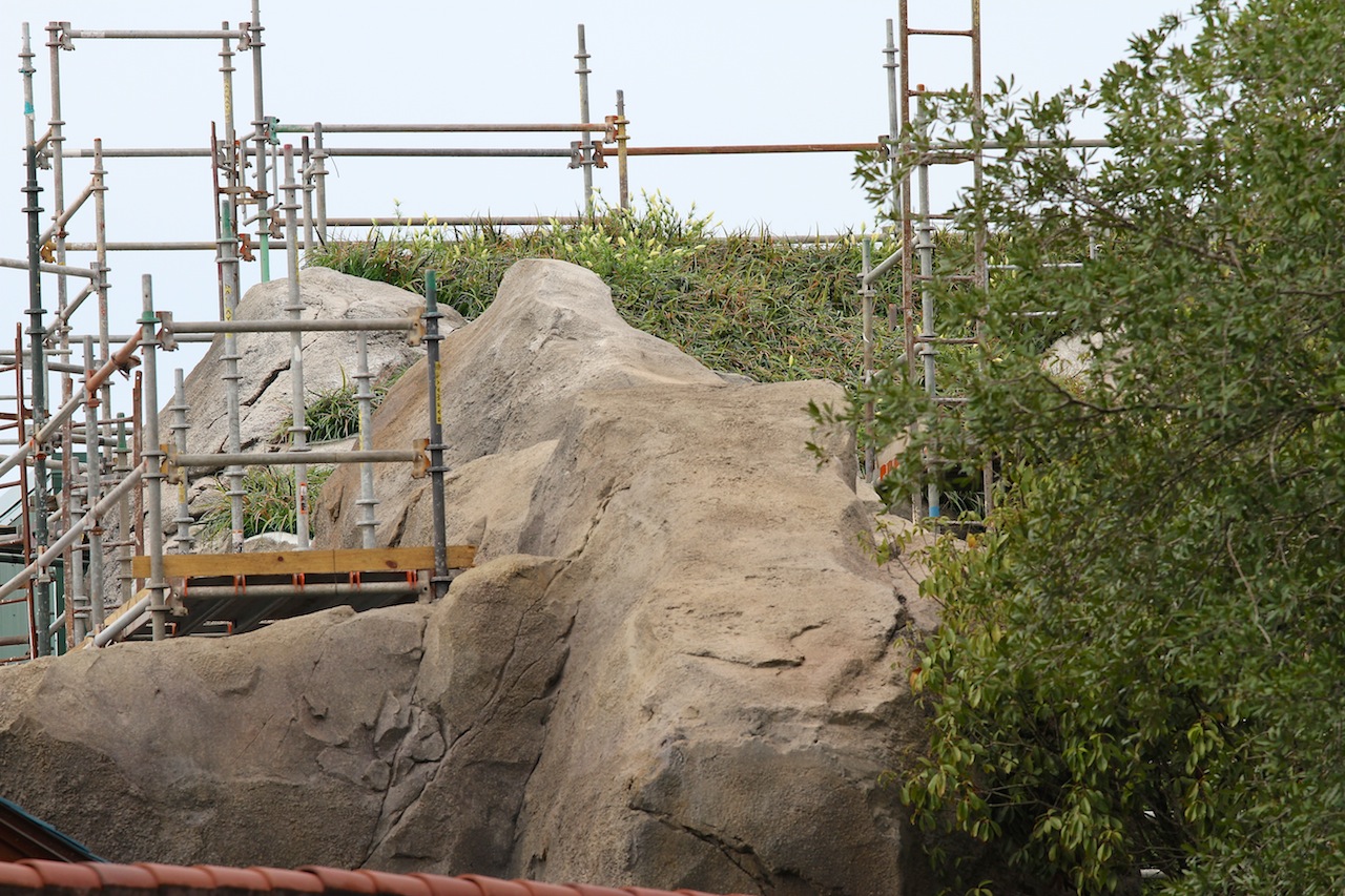 Fantasyland - The greenery on the rockwork  looks extremely realistic