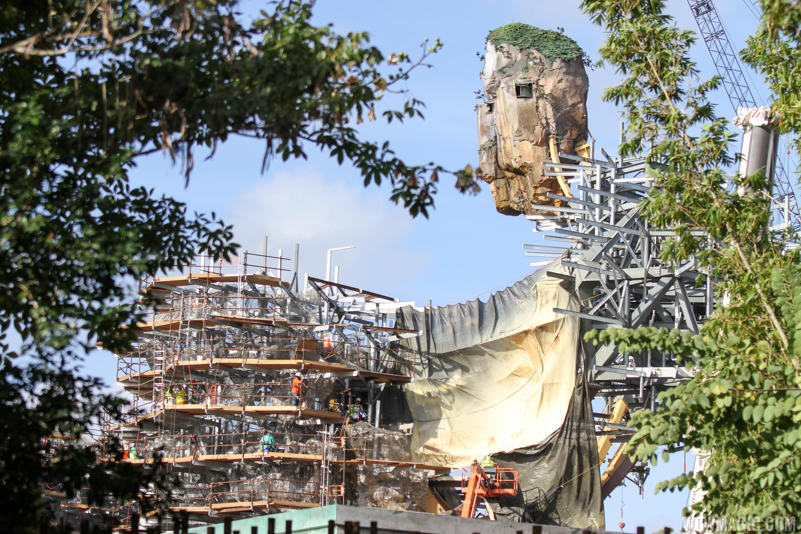 Photos Pandora The World Of Avatar Construction Update 6360