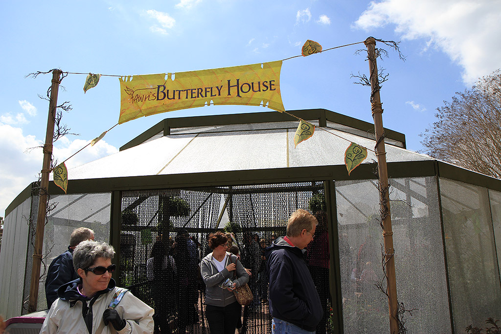International Flower and Garden Festival
