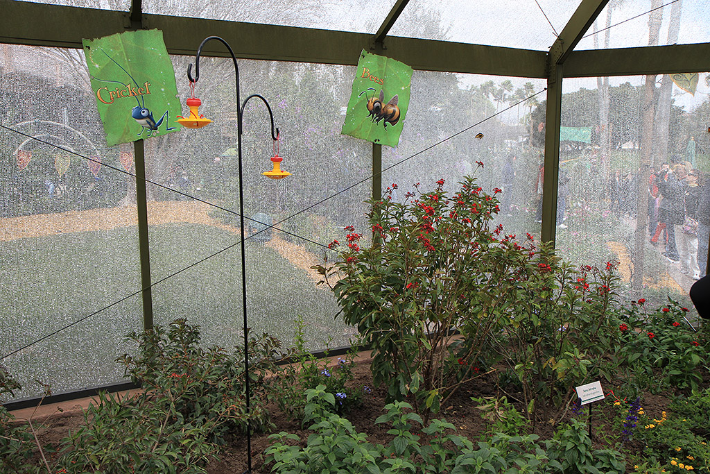 International Flower and Garden Festival