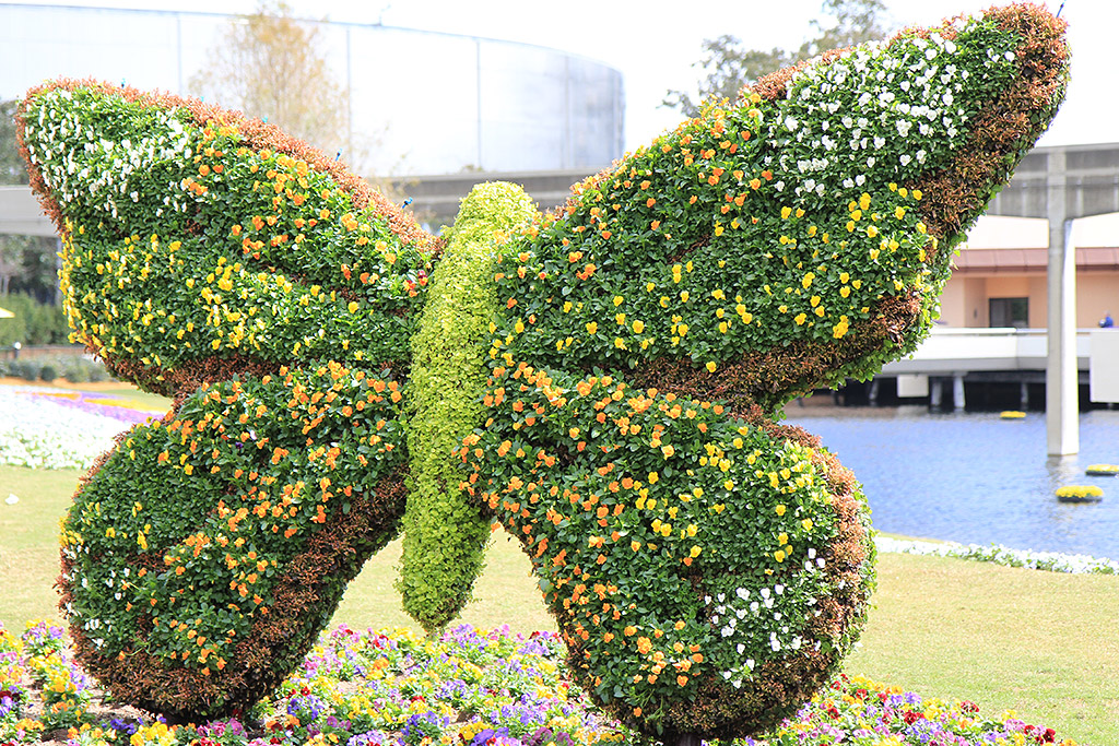 International Flower and Garden Festival