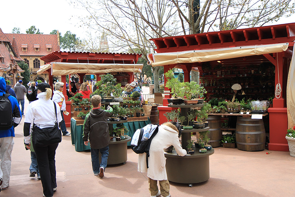 International Flower and Garden Festival