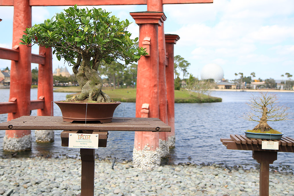 International Flower and Garden Festival