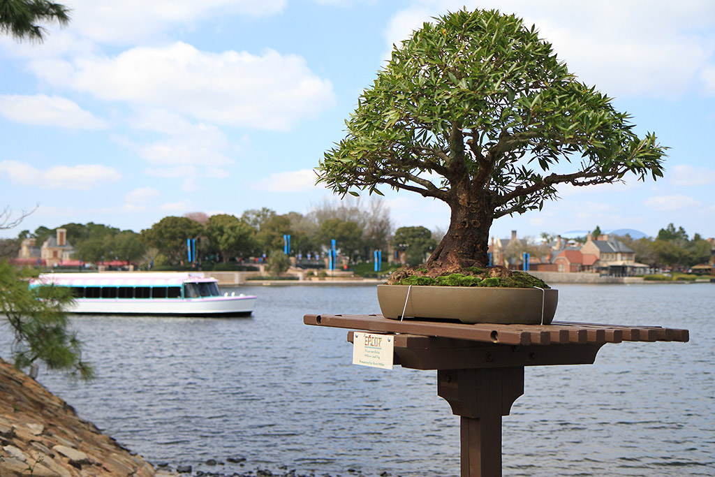 International Flower and Garden Festival