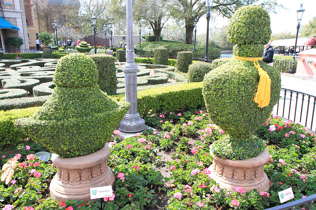 International Flower and Garden Festival