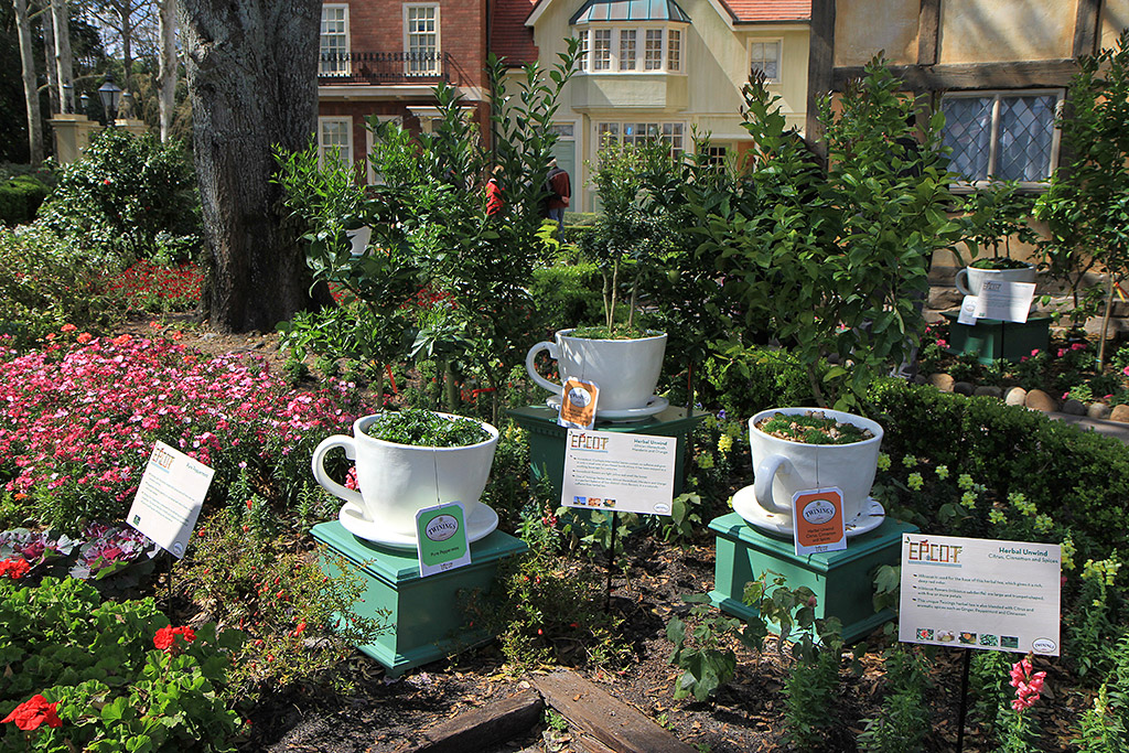 International Flower and Garden Festival