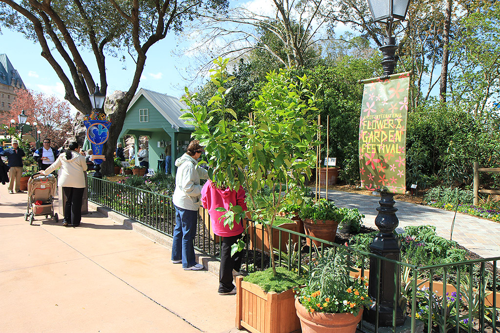 International Flower and Garden Festival