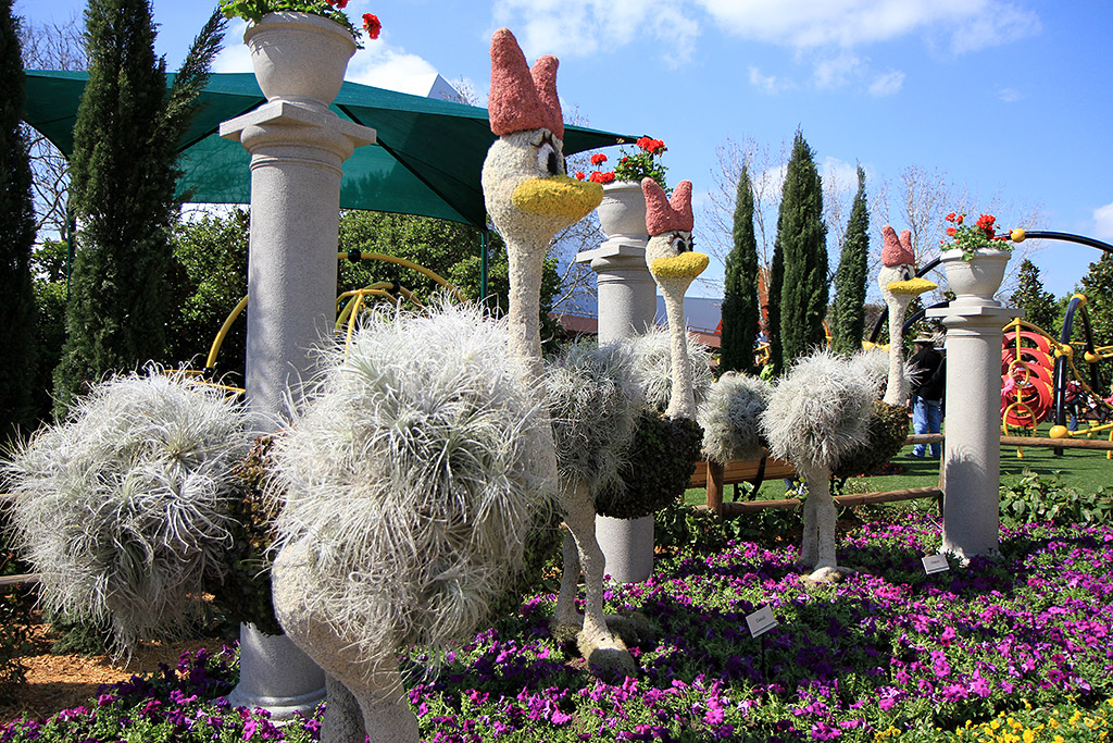 International Flower and Garden Festival