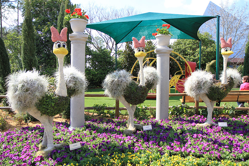 International Flower and Garden Festival