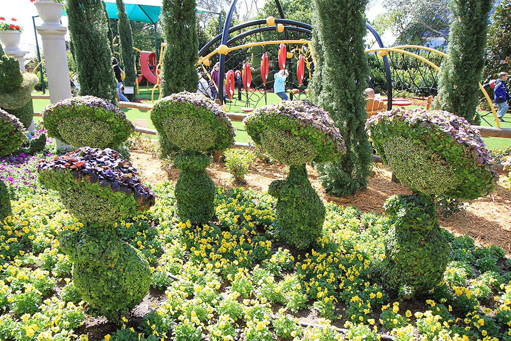 International Flower and Garden Festival