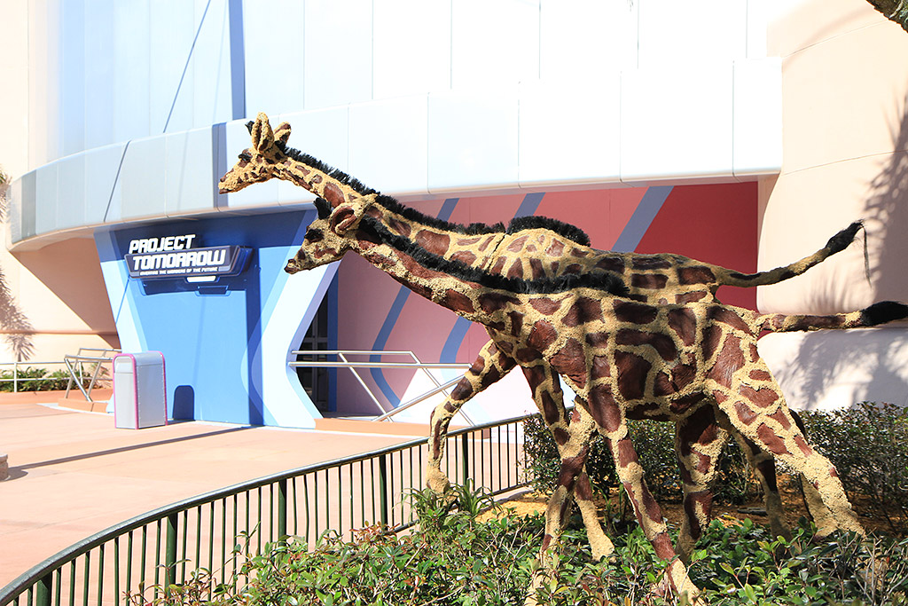 International Flower and Garden Festival