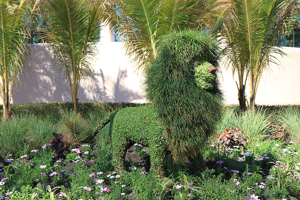 International Flower and Garden Festival