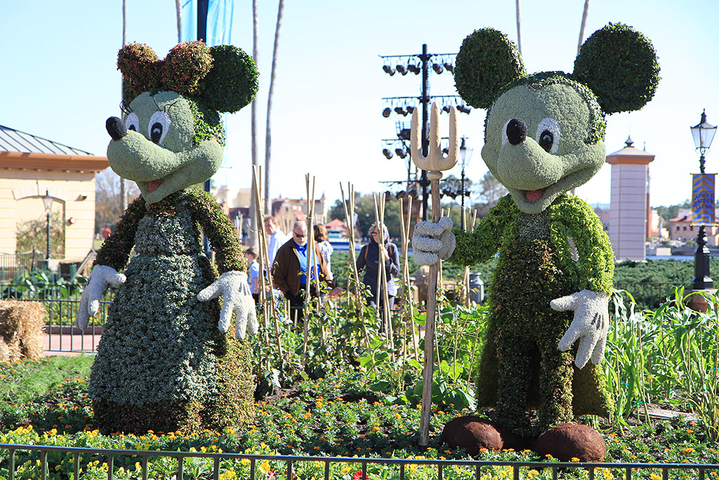International Flower and Garden Festival
