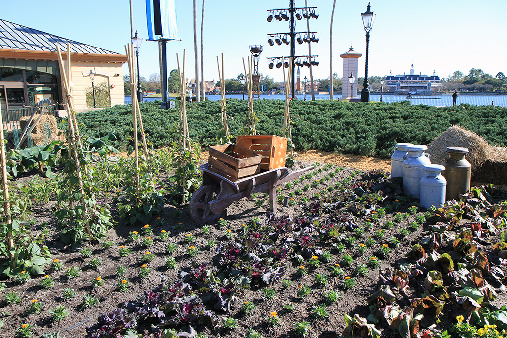 International Flower and Garden Festival