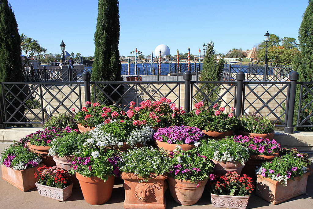 International Flower and Garden Festival