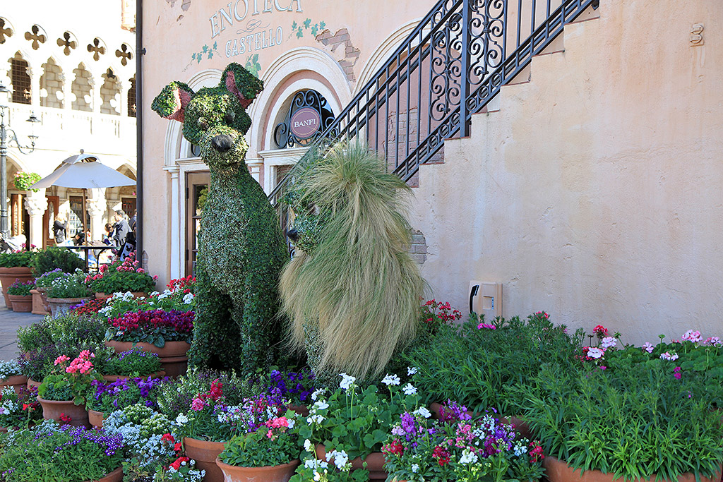 International Flower and Garden Festival