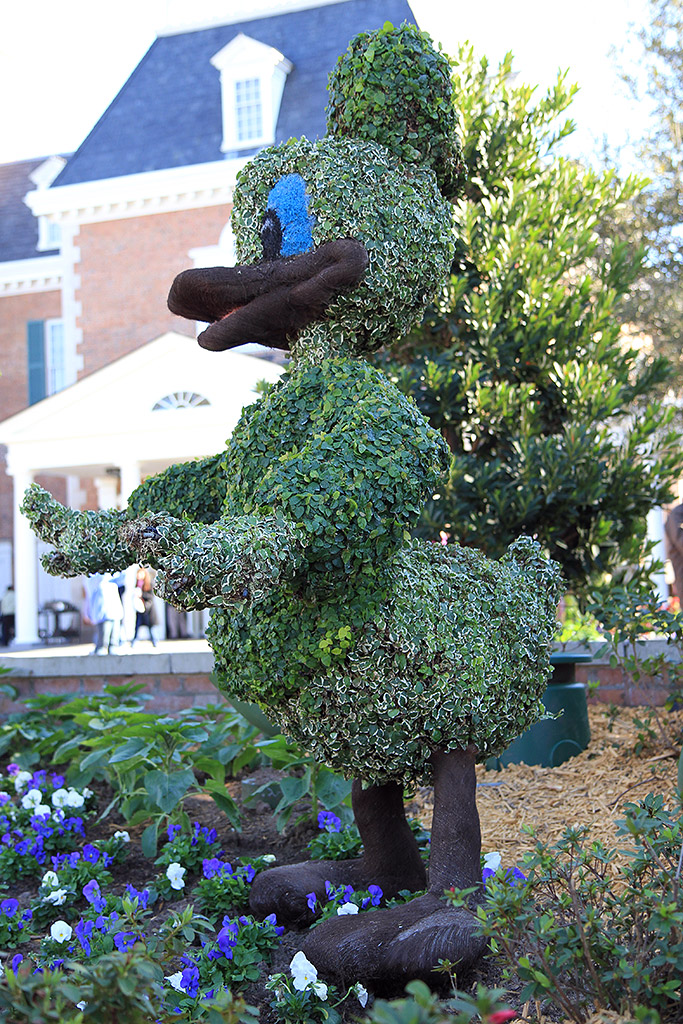 International Flower and Garden Festival