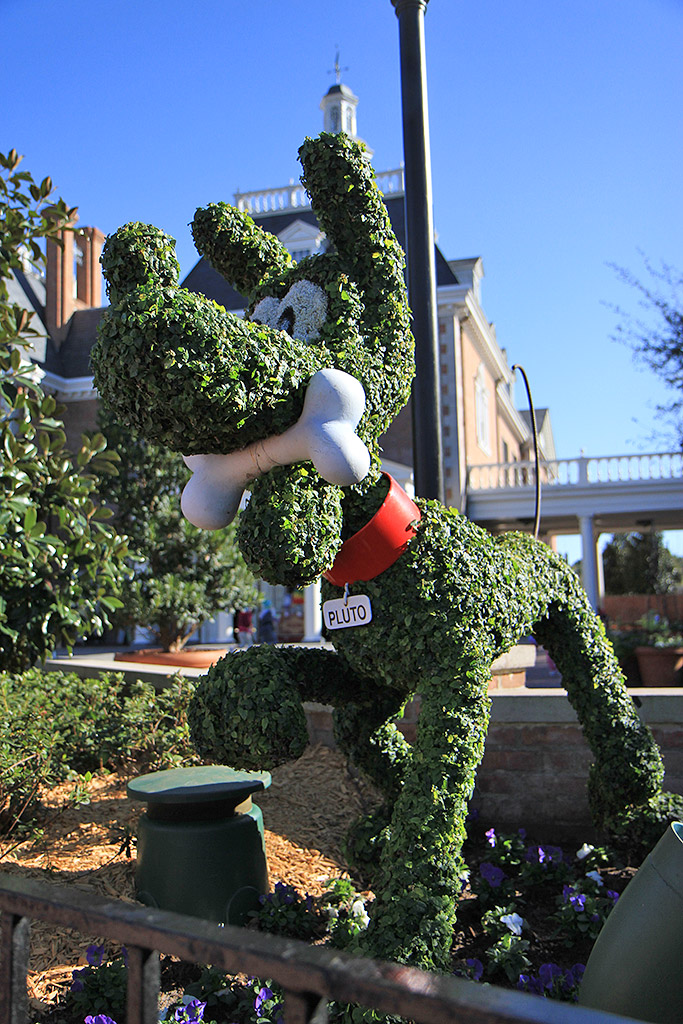 International Flower and Garden Festival