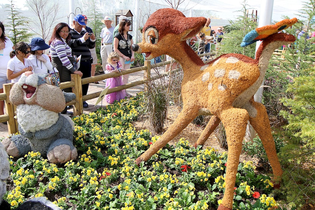 International Flower and Garden Festival