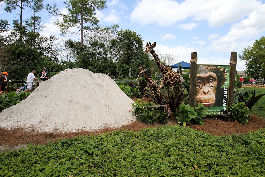 International Flower and Garden Festival - Future location of Sand Sculpture for Disney nature