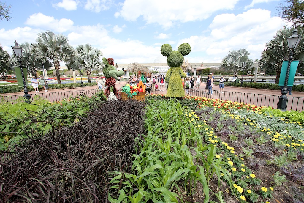 International Flower and Garden Festival - Farmer Mickey and Minnie Topiary