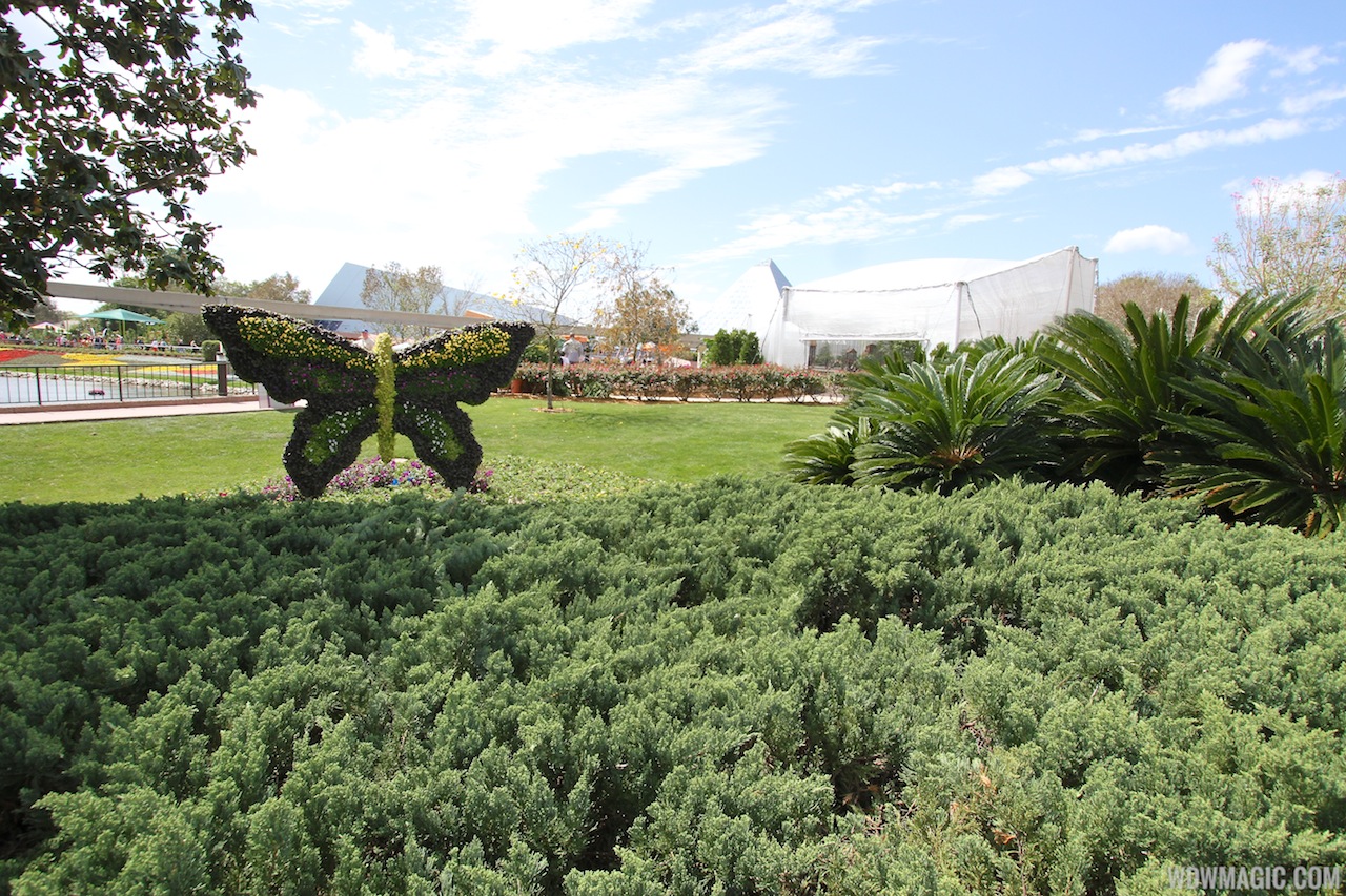 International Flower and Garden Festival