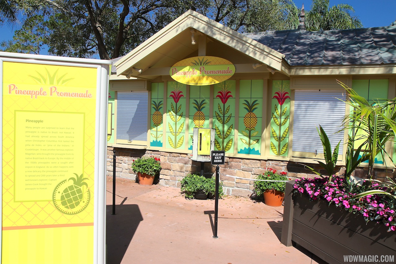 International Flower and Garden Festival - 2013 Epcot Flower and Garden Festival - Garden Marketplace - Pineapple Promenade kiosk