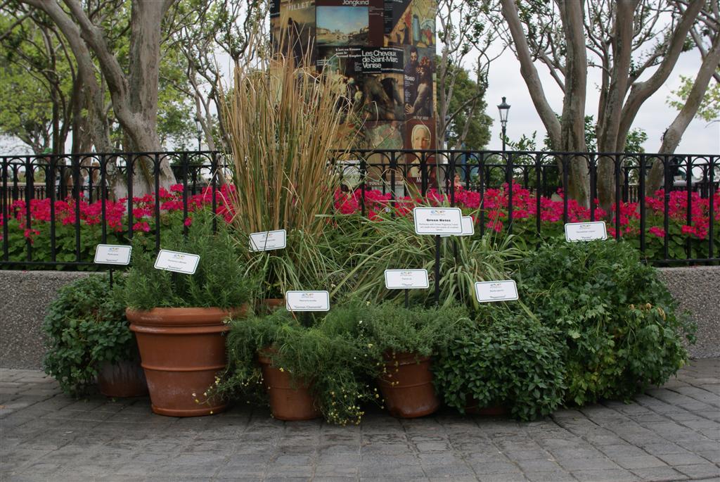 International Flower and Garden Festival
