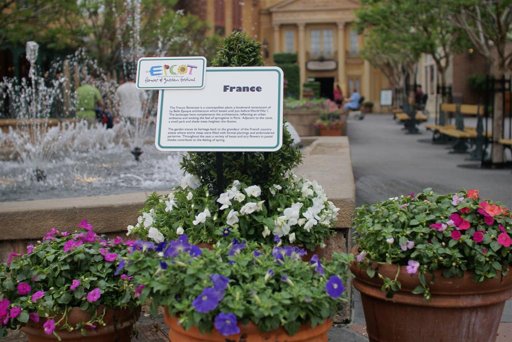 International Flower and Garden Festival