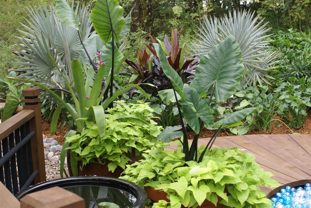 International Flower and Garden Festival