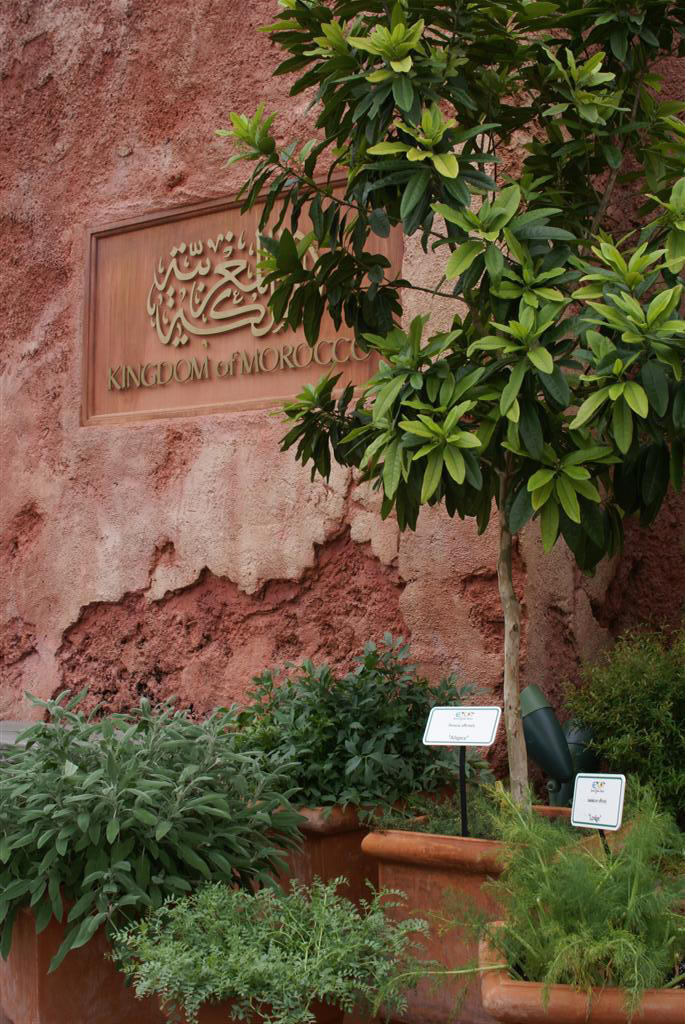 International Flower and Garden Festival