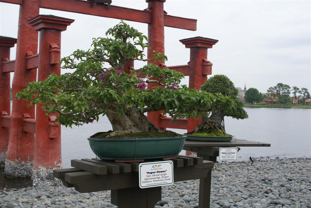 International Flower and Garden Festival