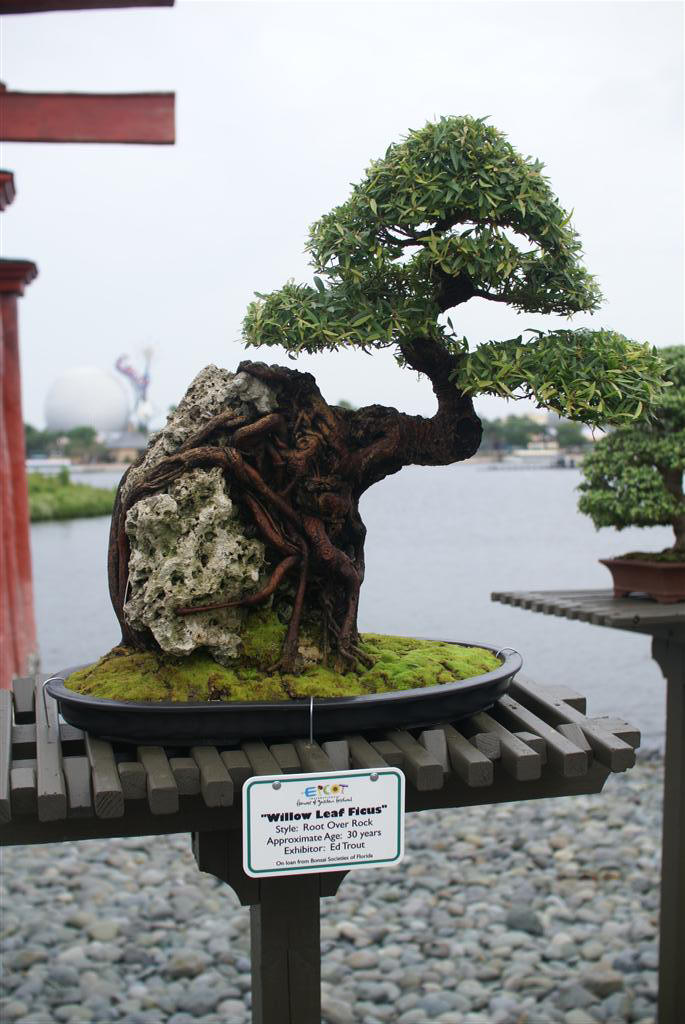 International Flower and Garden Festival