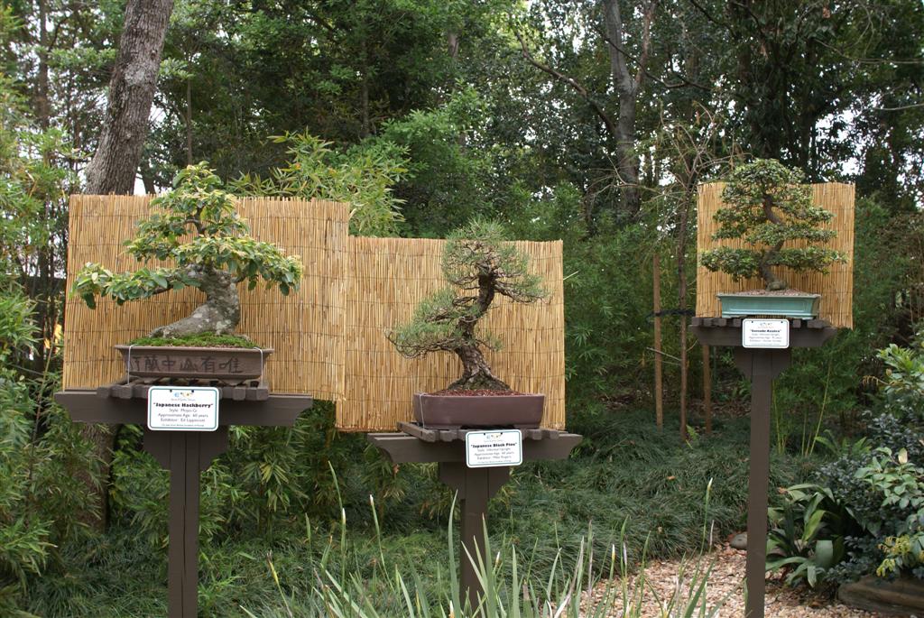 International Flower and Garden Festival