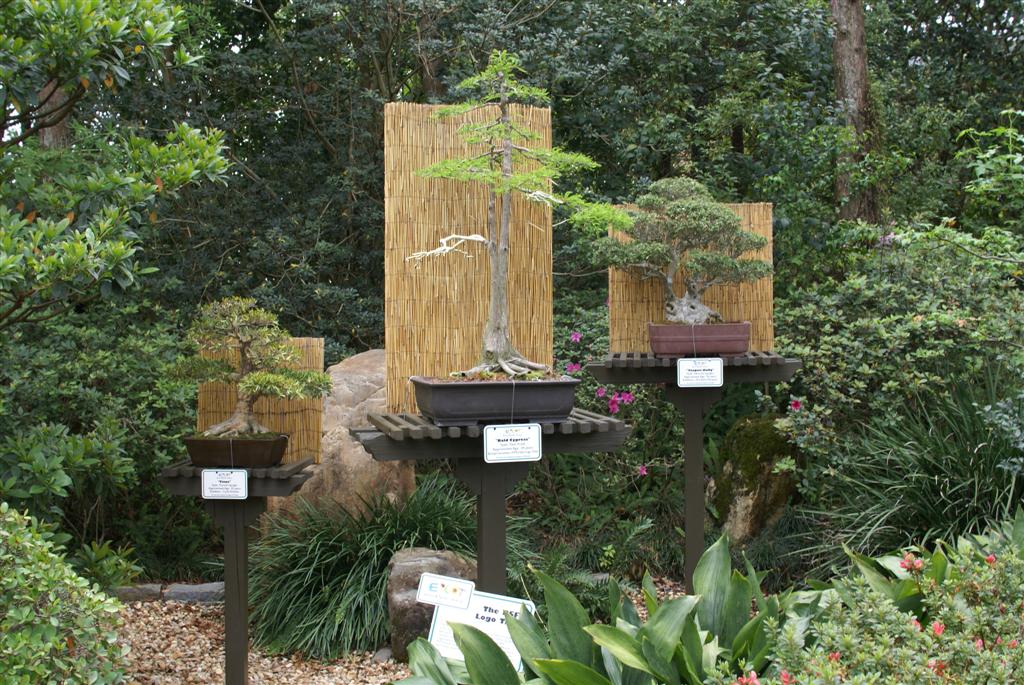 International Flower and Garden Festival