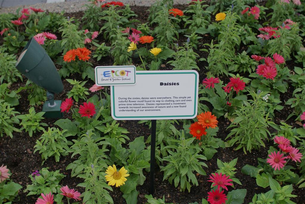 International Flower and Garden Festival