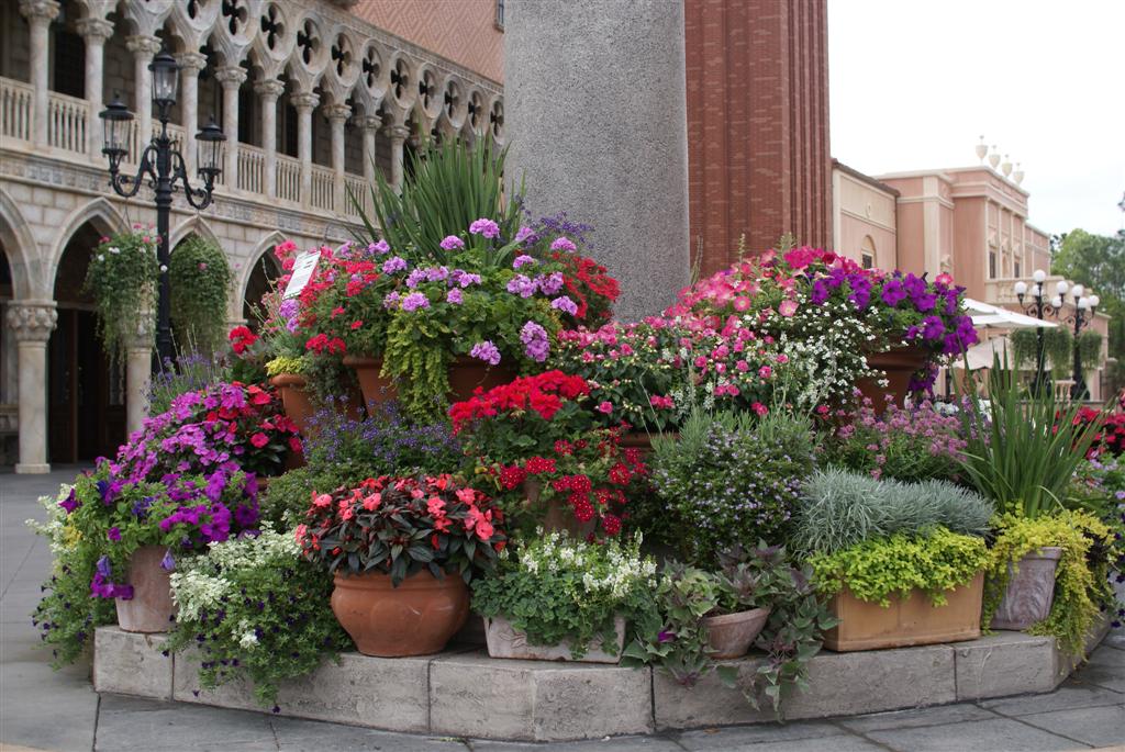 International Flower and Garden Festival