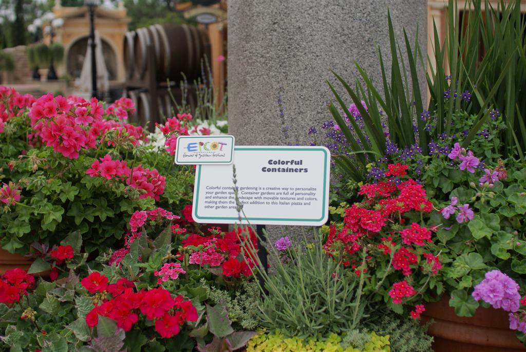 International Flower and Garden Festival