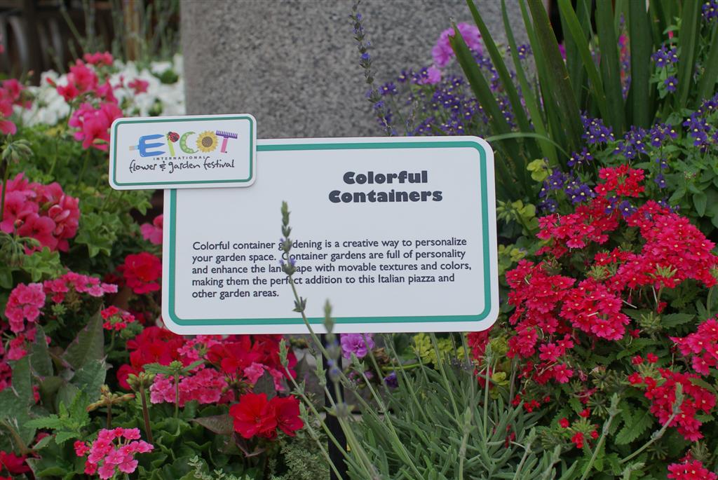 International Flower and Garden Festival