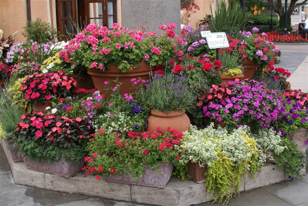 International Flower and Garden Festival