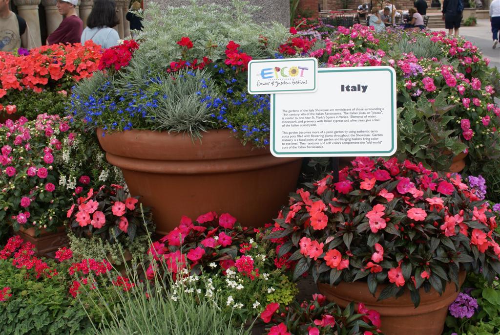 International Flower and Garden Festival