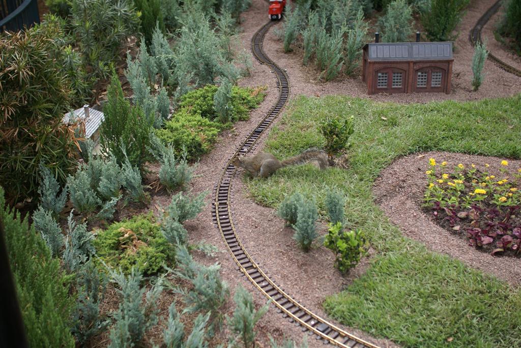 International Flower and Garden Festival