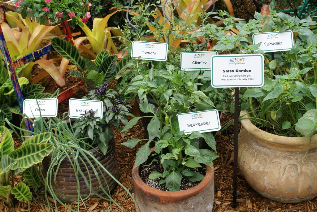International Flower and Garden Festival