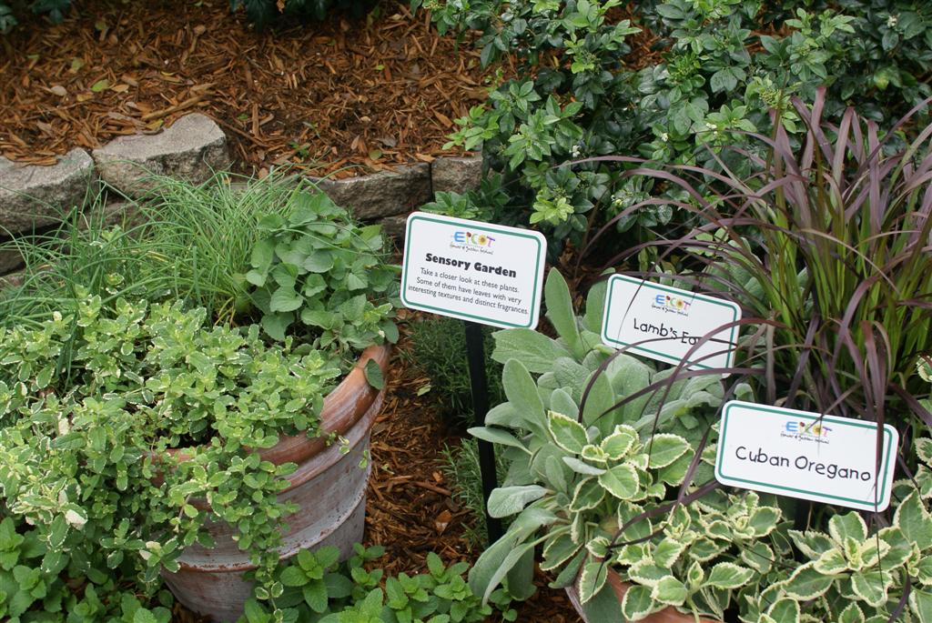 International Flower and Garden Festival