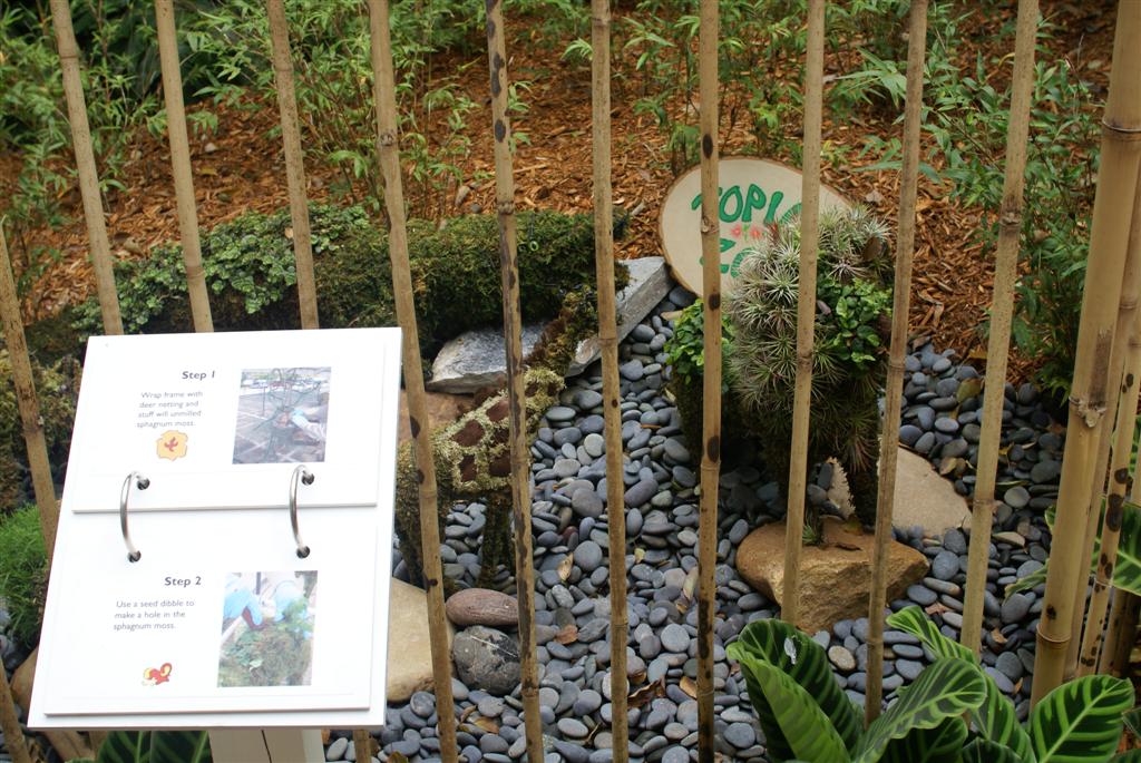 International Flower and Garden Festival
