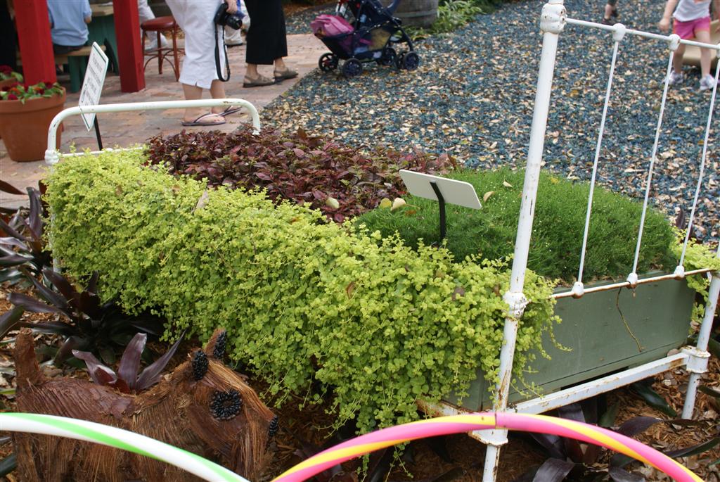 International Flower and Garden Festival