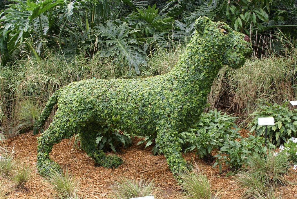 International Flower and Garden Festival